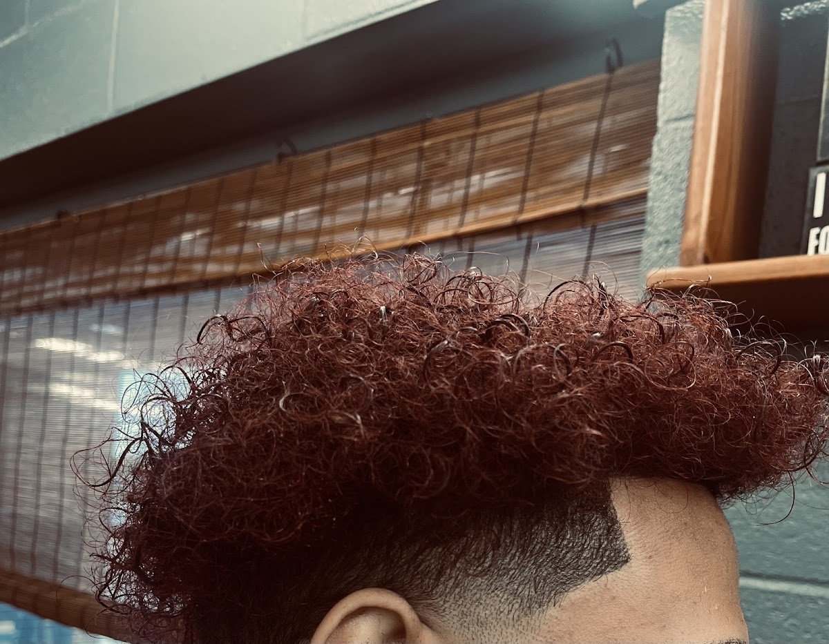Quick Cuts in Clarksville, TN